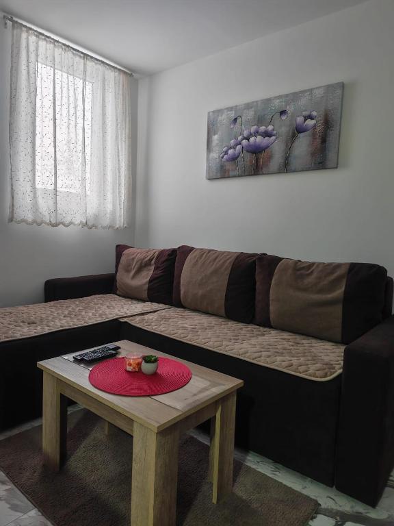 Apartman Ristic Vrnjacka banja - 4