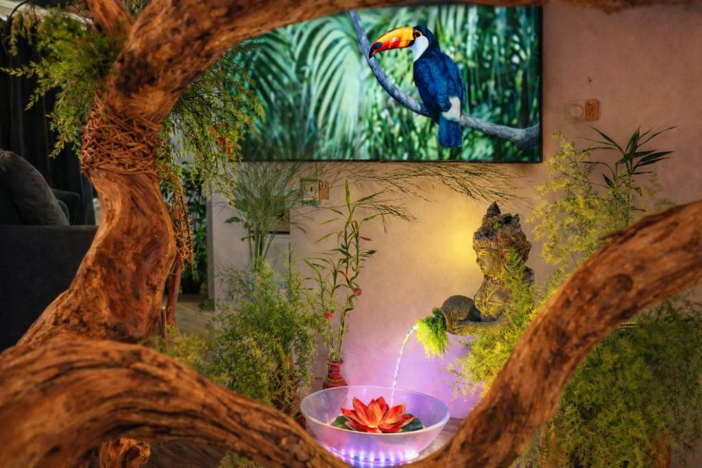 Jungle Spa - Cocon tropical et romantique avec balnéo en plein coeur de Pézenas ! - 4