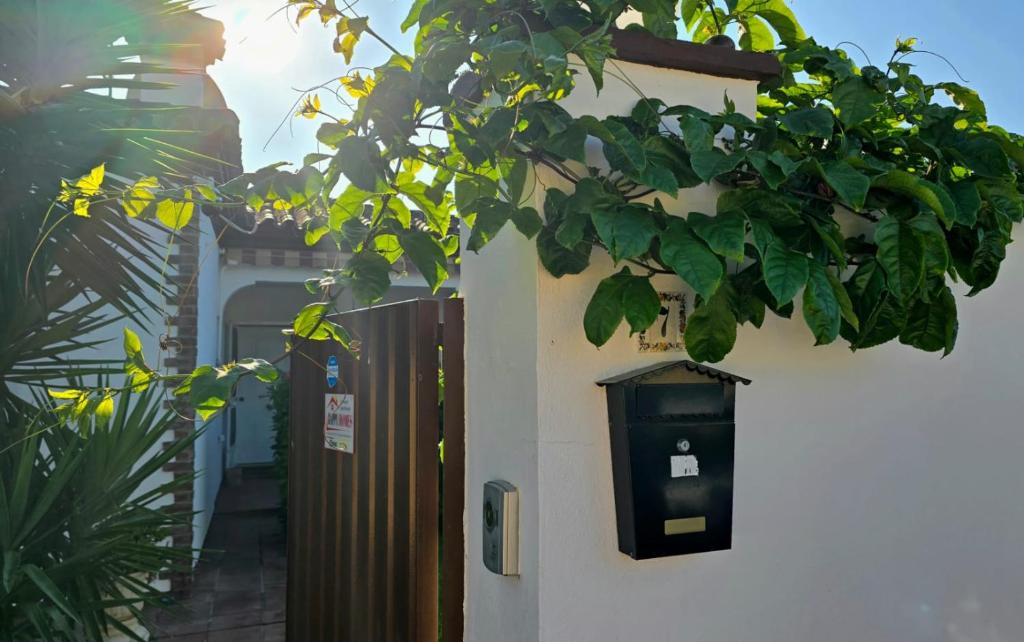 HAPPY HOMES CASA LIMÓN - Premium - Pool - Klimaanlage - WLAN - 2