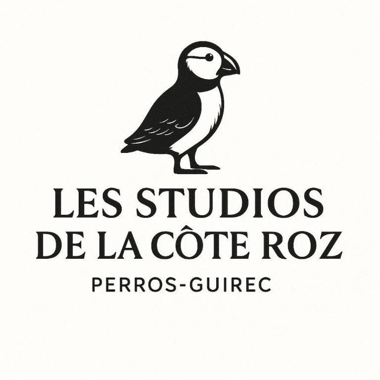 Les Studios de la Côte Roz - Voyageur Solo - Vue Mer - 2
