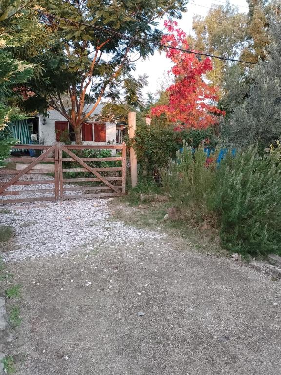 Lago di Garda - 4