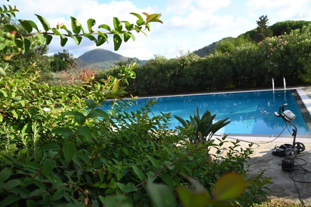 La Casa Gialla - 4
