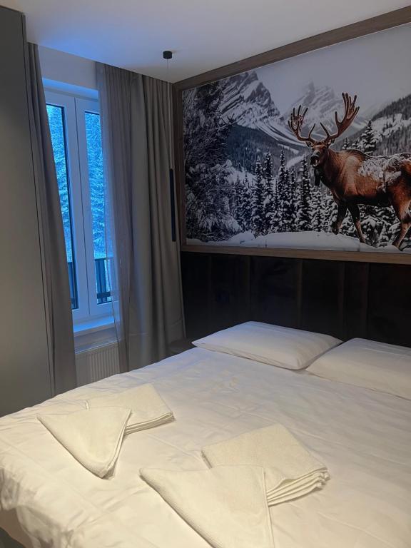 Apartman hotel 507 - 4