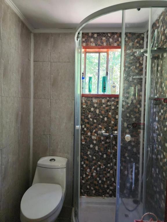Cabañas Pucón Baño de Bosque - 3