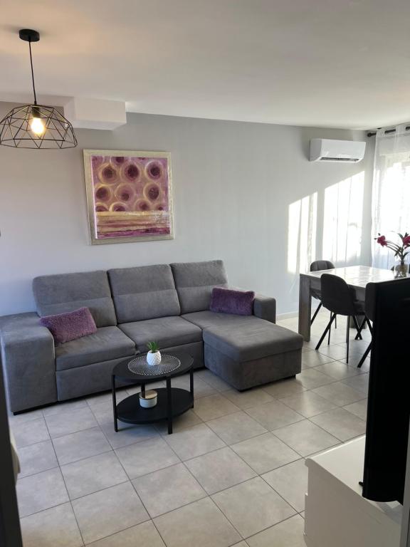 Villa T3 avec SPA jardin clos - 4