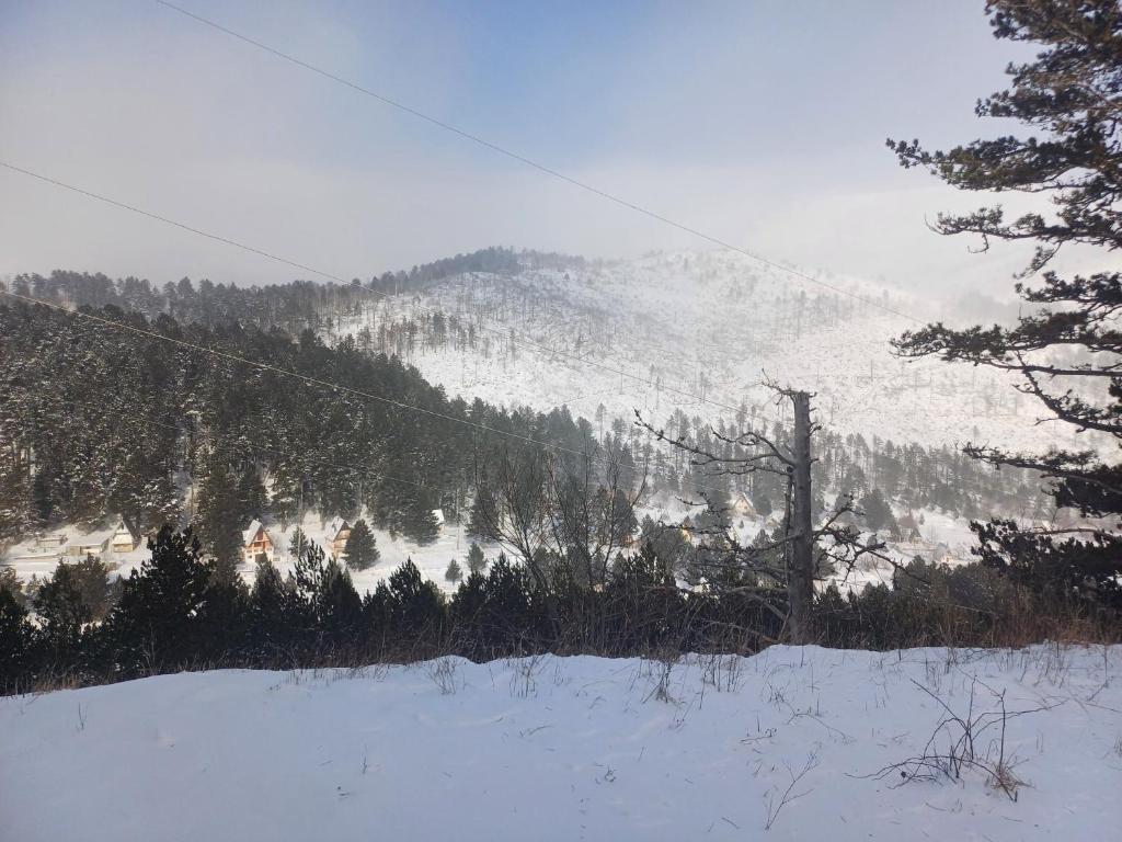 Planinska Kućica - 2