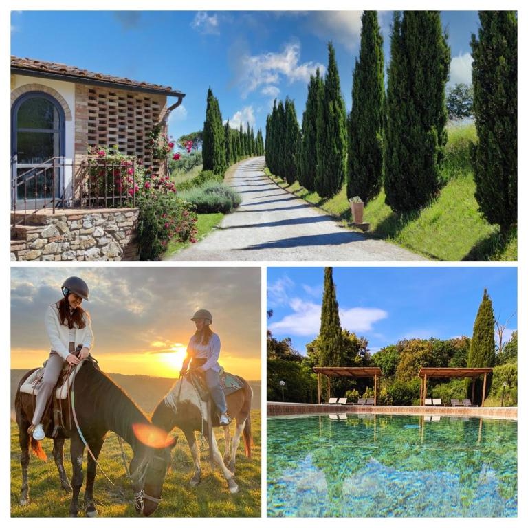 Agriturismo e Maneggio Poggio Leone - 2