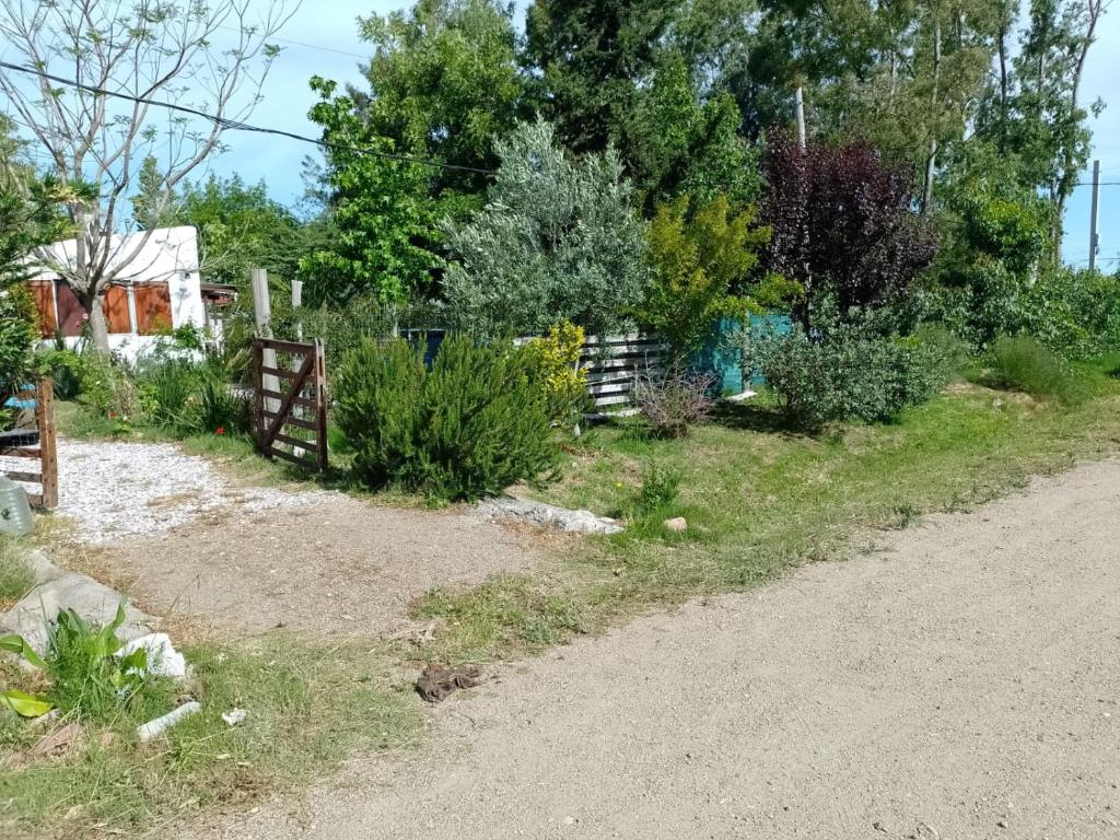 Lago di Garda - 1