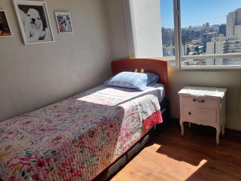 viña plaza 6 - 2