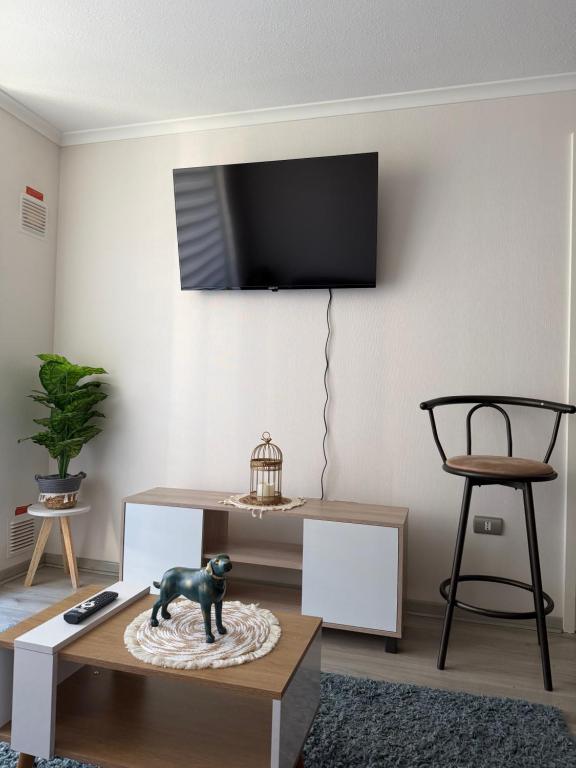 Depto en Pucón 2 piezas 2 baños - 1