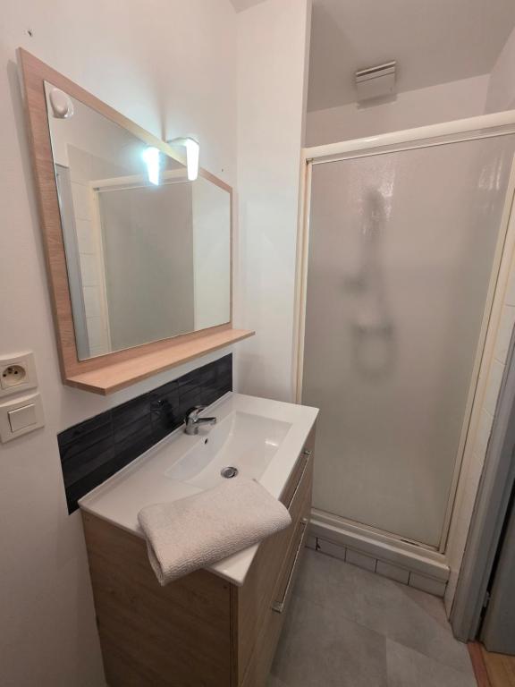 Le Nid Emeraude - Welc'Home - Proche gare et centre-ville, WIFI, calme et confort - 4