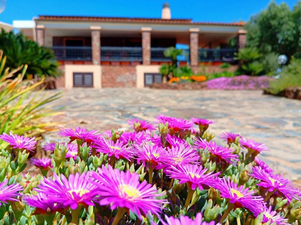 Alghero Villa Barranch with sea view swimming pool for 6 people - 2