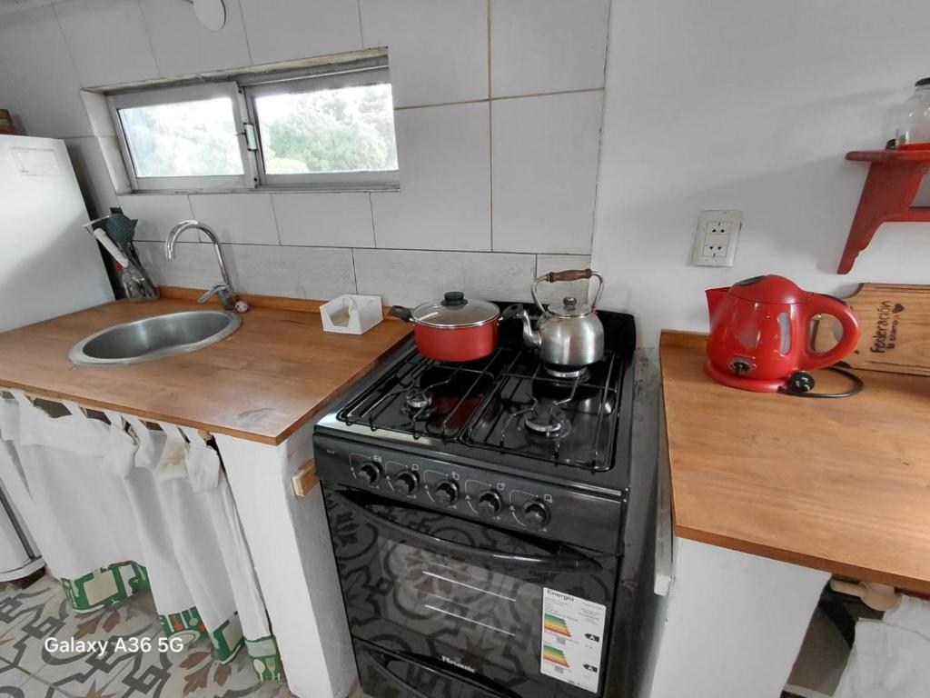 La casita de Emma! - 2