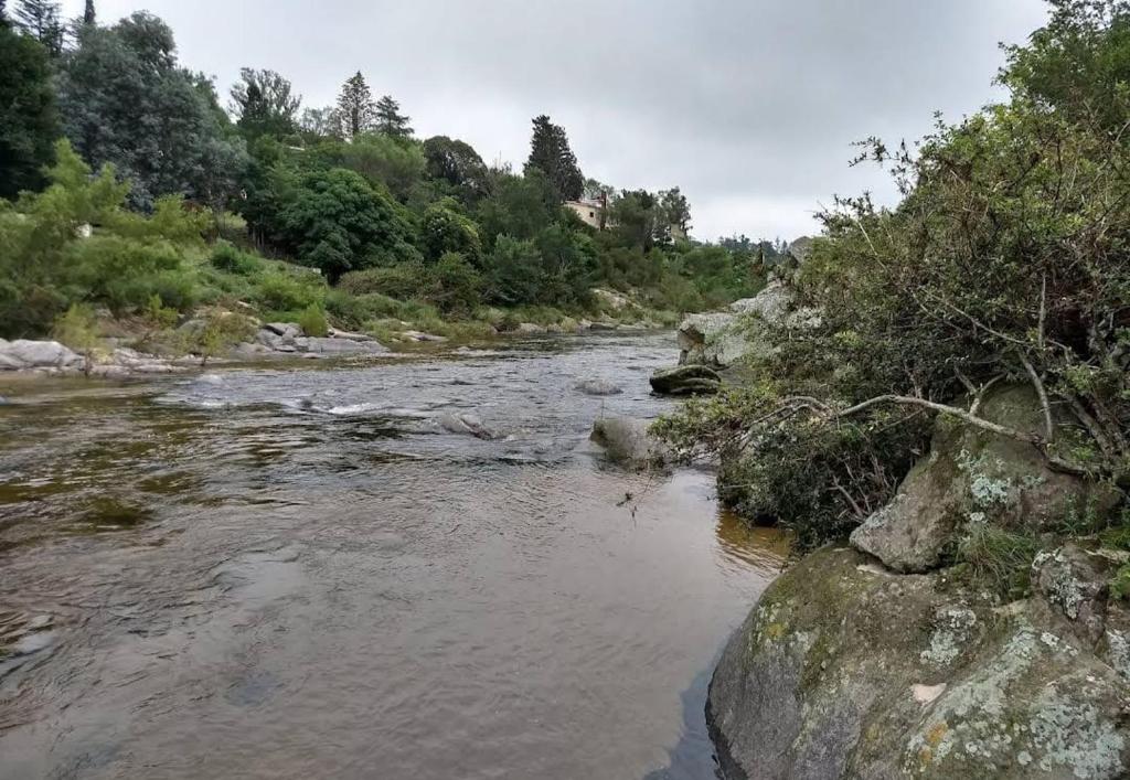 Bosque Encantado Cabañas - 5