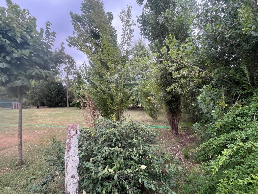 Casa quinta Mercedes - 2