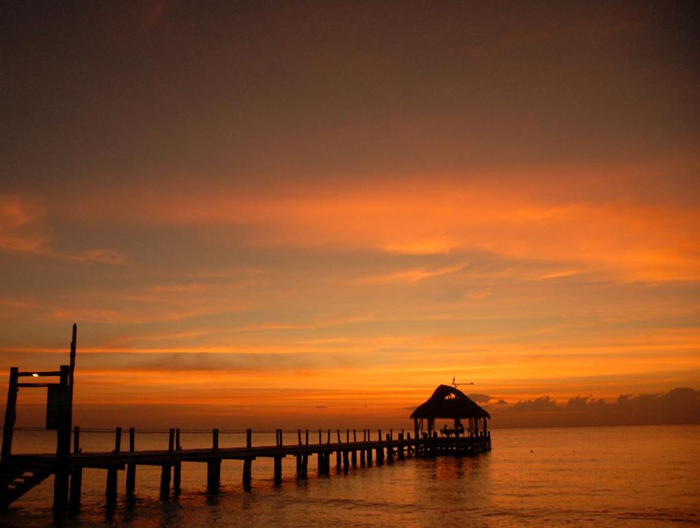 Secrets Aura Cozumel All Inclusive - Adults Only Photo 42