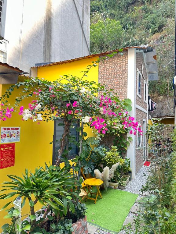 OC Homestay Cat Ba