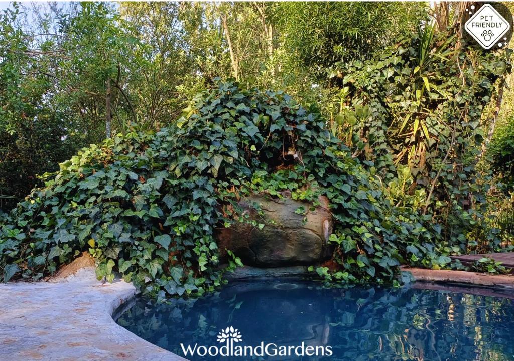 スイミングプール