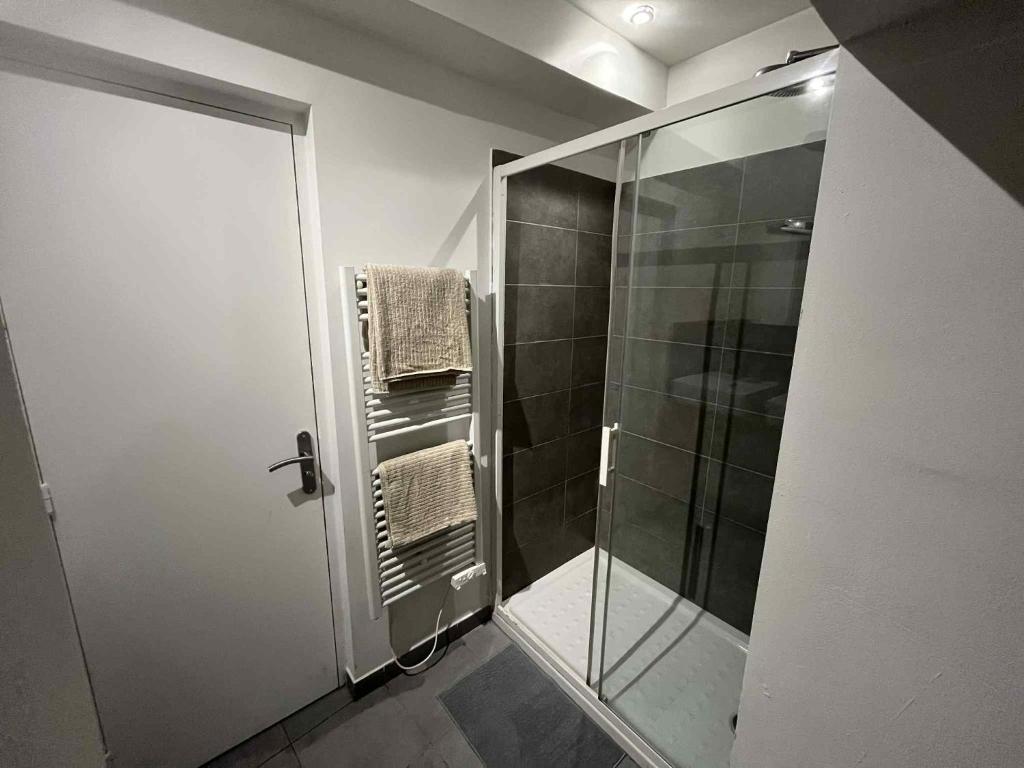 Appartement centre ville avec 2 chambres indépendantes - 3
