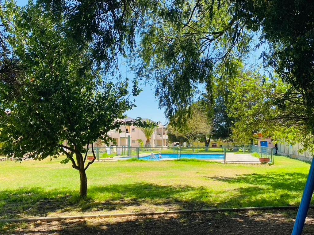 Departamento cómodo y acogedor en el corazón de vicuña - 1