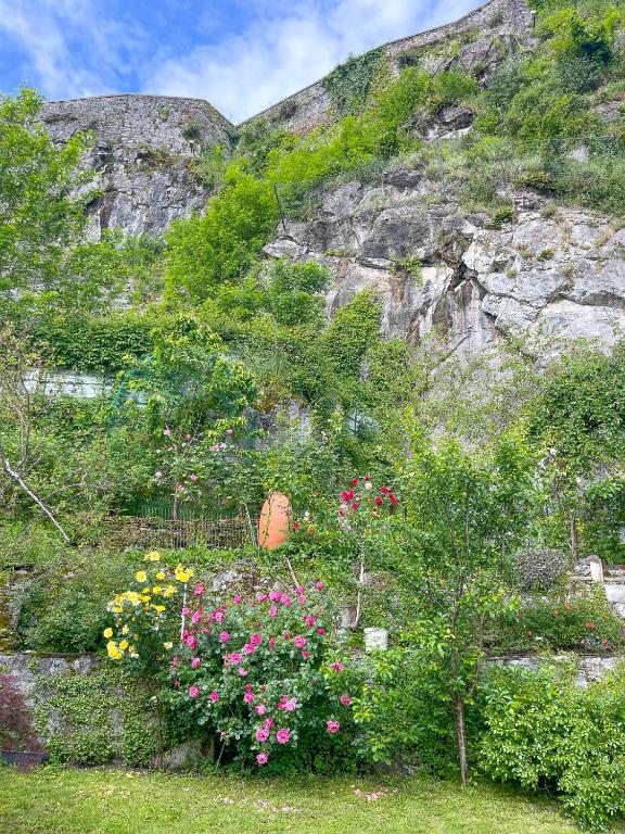 La Rose du Château - 4