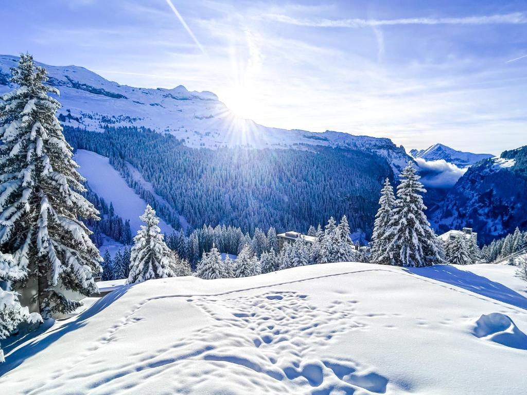 Next to the pistes, 1-bedroom family apartment - 5