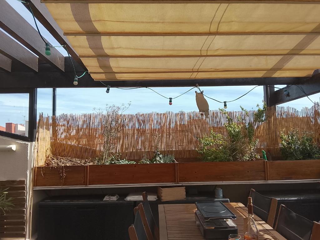 Green Roof Top - 1