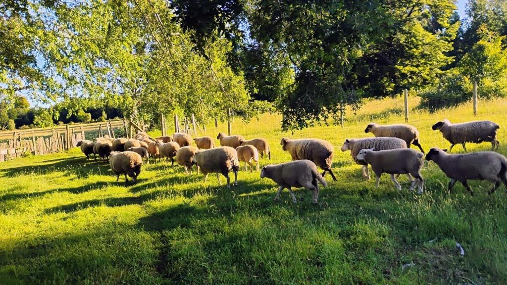 Casa Pampa Bonita - 2