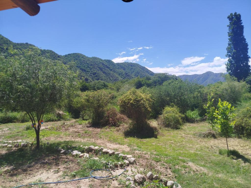 El portal del Shincal - 3