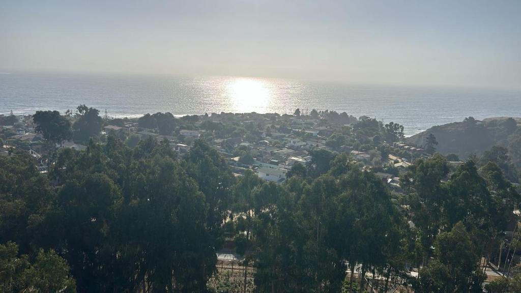 Departamento Algarrobo - 5