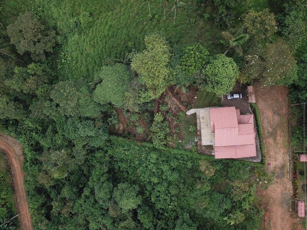 Beautiful house surrounded by nature to relax - 3
