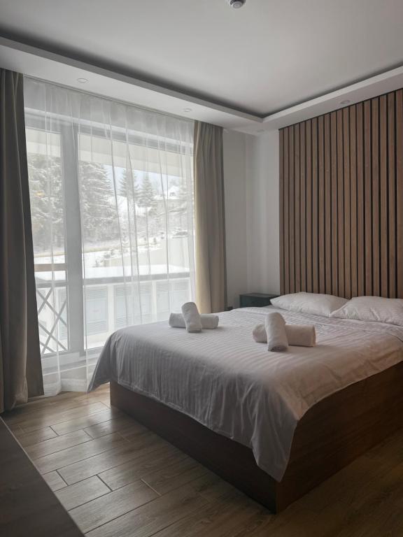 Sophie & Sarah Apartments - Residence Hill, Kopaonik - 2