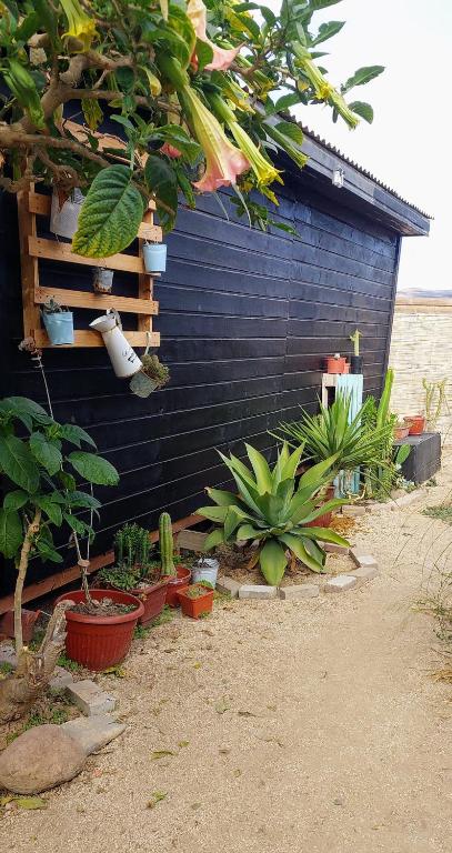 Cabaña Chango - 4
