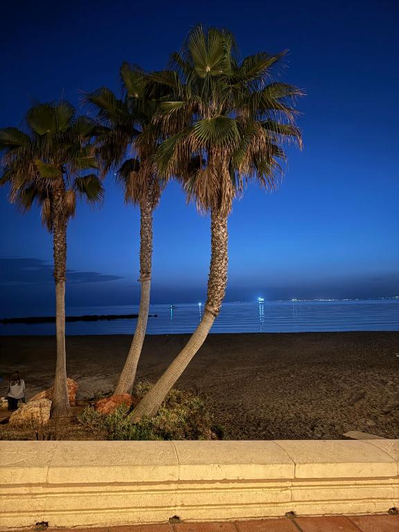 Ocean Views - 4