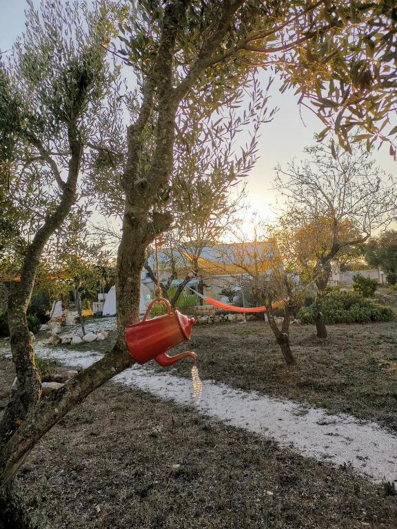 Trullo Serena con uso piscina - 3