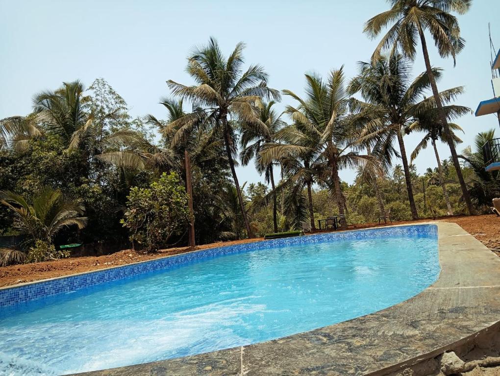 ガブリエル & フェリシダーデ ヴィラ (Gabriel & Felicidade Villa) ガーデン