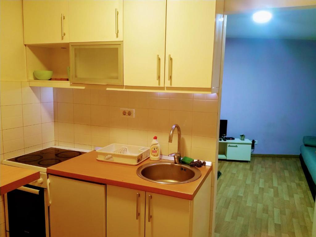 Belgrade Dorcol Apartment - City center - 4