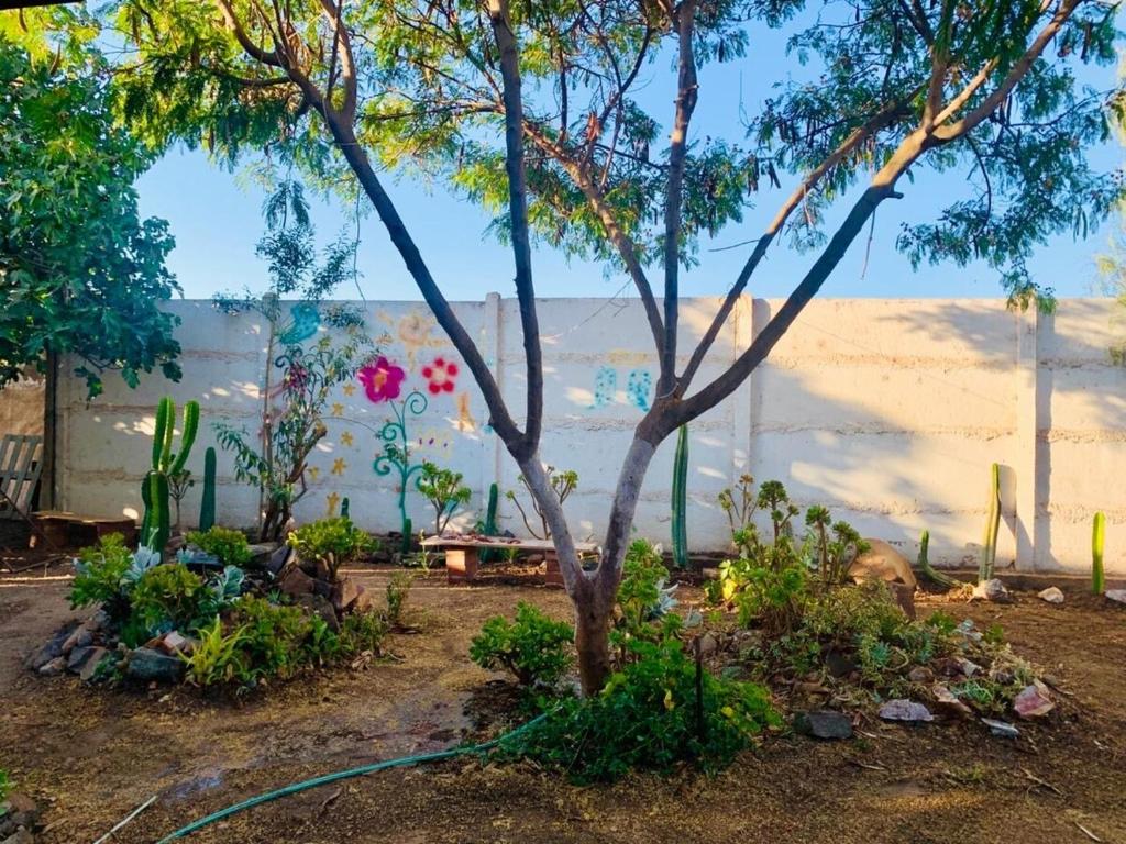 New House near Ovalle Trees and Large Patio - 2