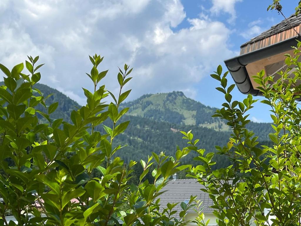 Cozy vacation apartment in Achensee, Tirol Austria - 3