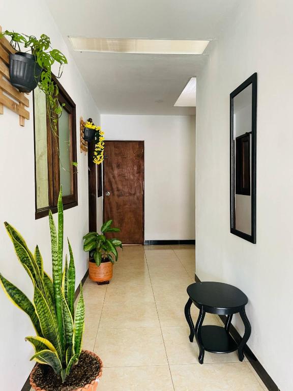 Apartamento Privado en el Centro, Programación de Tours y Mas - 4