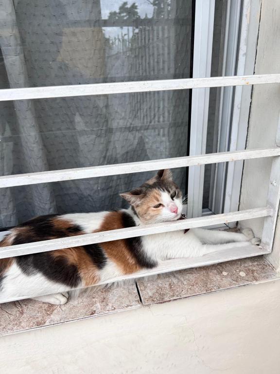 Alojamiento Cba Observatorio - 2