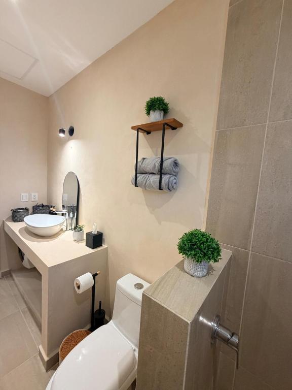 Nuevo estudio con rooftop y alberca cerca de la 5a Av y playa - 5