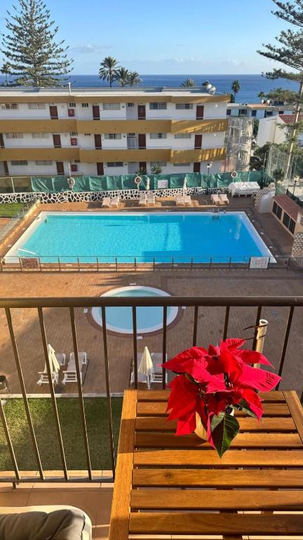 Seaview Apartment Los Cactus - 3