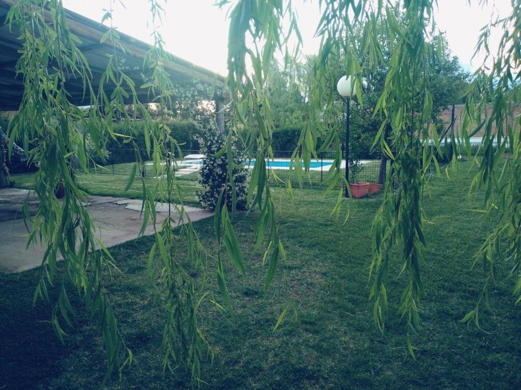 La finca - 2