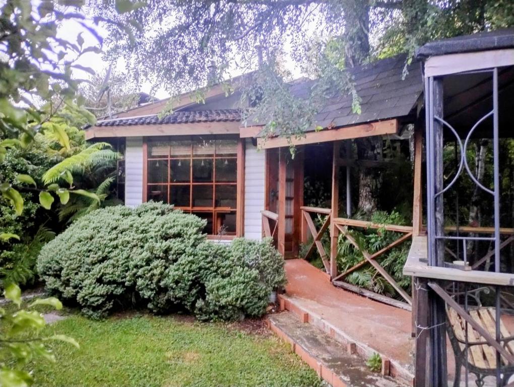 Cabaña 2 personas Pétalos Villarrica - 5