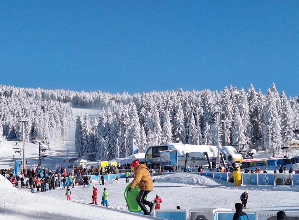 Woodside Kopaonik & SPA by Slopeview - 5