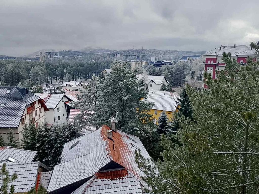 Todorović 032 - 2