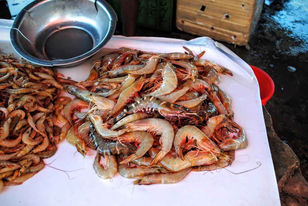 المنطقة المحيطة