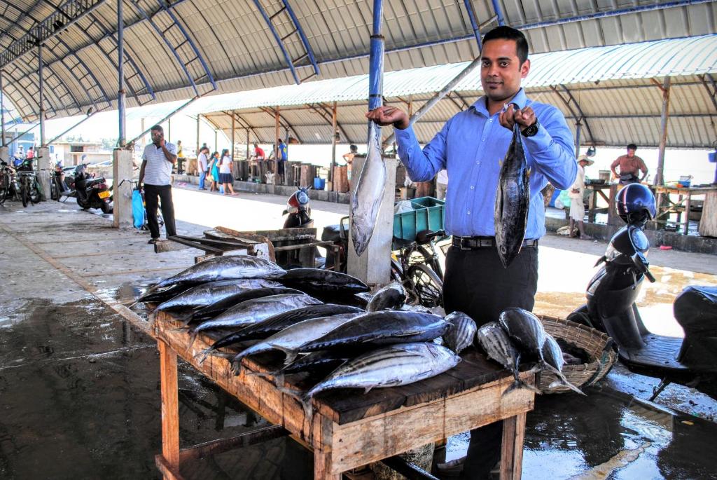 مناطق جذب قريبة