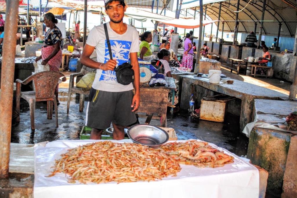 مناطق جذب قريبة